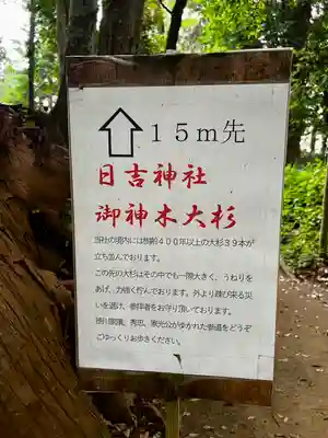 日吉神社(千葉県)