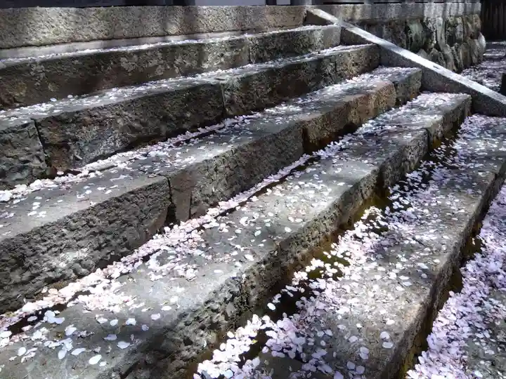 常照皇寺(京都府)