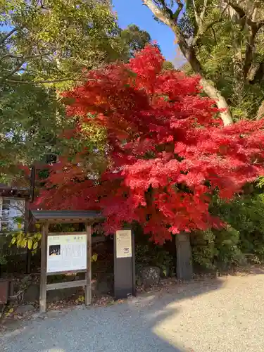 鎌倉宮(神奈川県)