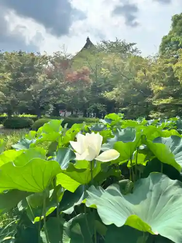東寺（教王護国寺）(京都府)