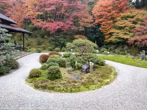 曼殊院門跡の庭園