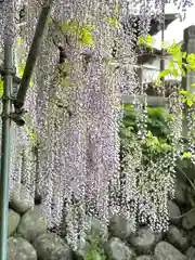 鳩ヶ嶺八幡宮(長野県)