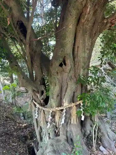 市杵嶋神社(兵庫県)
