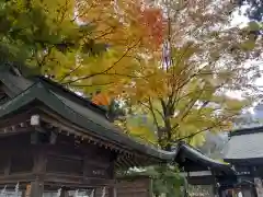 駒形神社の自然