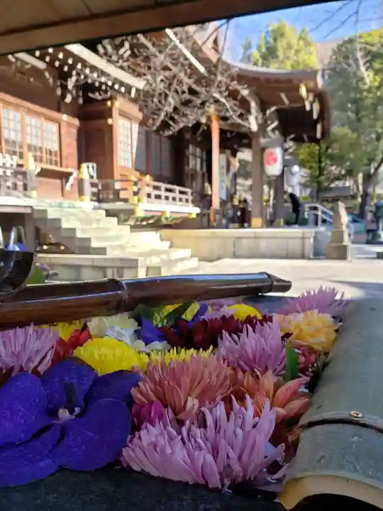 熊野神社(東京都)