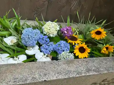 菅生神社(愛知県)