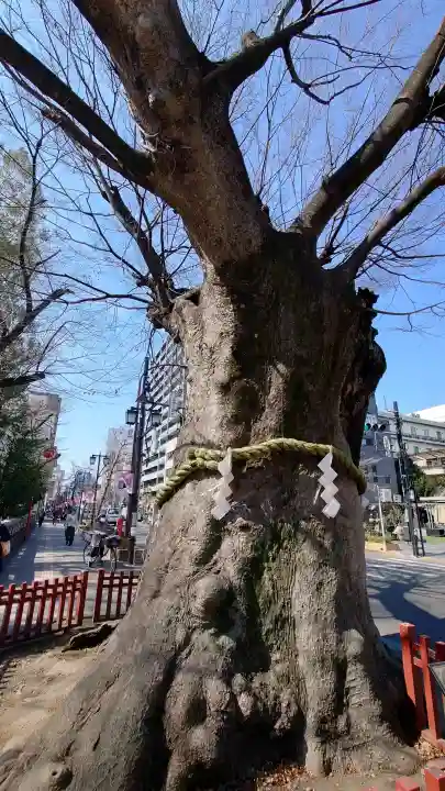 大國魂神社(東京都)