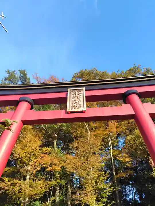 東沼神社(埼玉県)