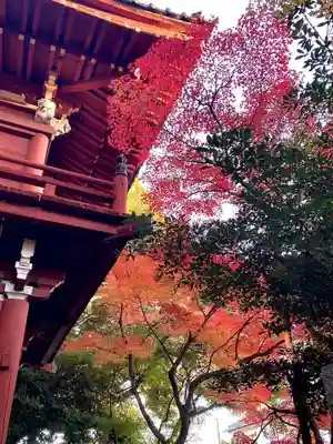 本土寺(千葉県)