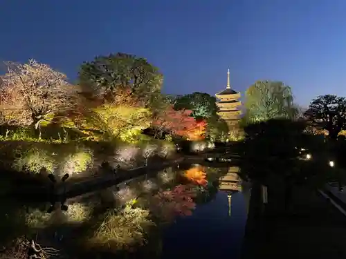 東寺（教王護国寺）(京都府)