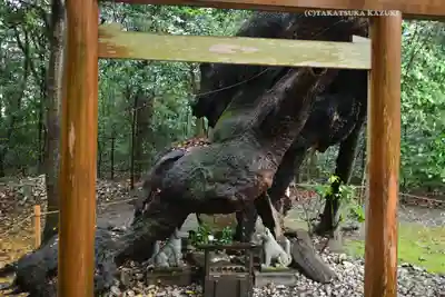 月夜見宮（豊受大神宮別宮）(三重県)