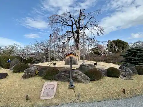 東寺（教王護国寺）の自然