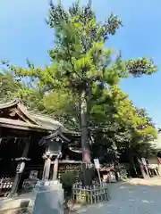 前鳥神社(神奈川県)