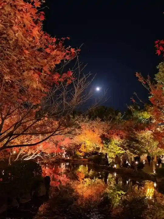 東寺(教王護国寺)(京都府)