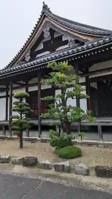 南真経寺(京都府)
