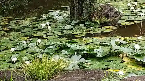 本土寺(千葉県)