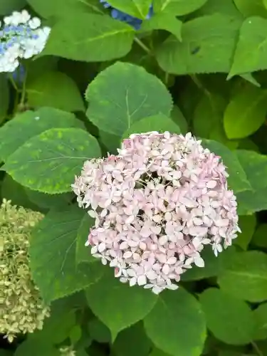 西野神社(北海道)
