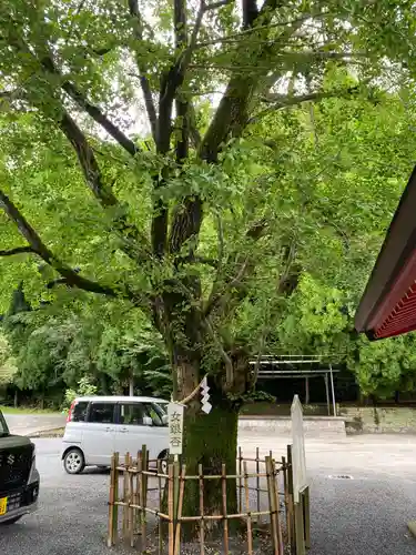 豊玉姫神社(鹿児島県)