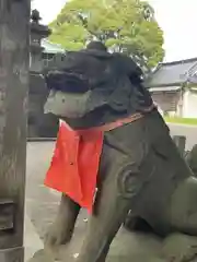 下総国三山　二宮神社の狛犬