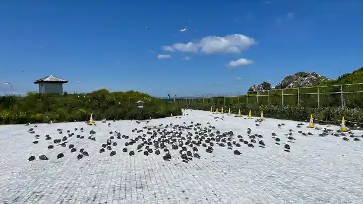 蕪嶋神社のその他建物