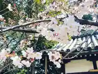 道明寺天満宮の自然