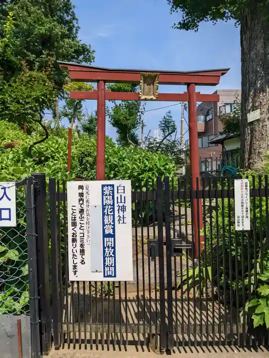 白山神社の鳥居