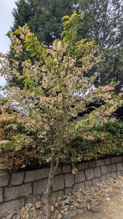 本法寺(京都府)