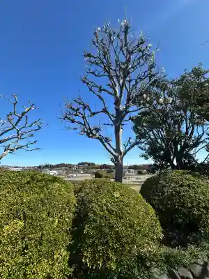宝帒寺の{uncategorized: "未分類", other: "その他", undefined: "問題あり", building: "その他建物", grave: "お墓", sacred_gate: "鳥居", guardian: "狛犬", statue: "像", buddha: "仏像", history: "歴史", nature: "自然", garden: "庭園", animal: "動物", pagoda: "塔", temizu: "手水舎", mountain_gate: "山門・神門", sanctuary: "本殿・本堂", subordinate: "末社・摂社", art: "芸術", scenery: "景色", jizo: "地蔵", ema: "絵馬", goshuin: "御朱印", omikuji: "おみくじ", items: "授与品その他", amulet: "お守り", goshuincho: "御朱印帳", eats: "食事", festival: "お祭り", votive_dance: "神楽", shichigosan: "七五三参", wedding: "結婚式", experience: "体験その他", initially: "初詣", around: "周辺", anti_infection: "感染症対策"}