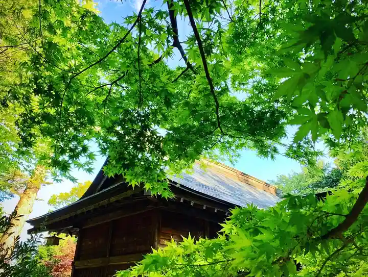 滑川神社 - 仕事と子どもの守り神の自然