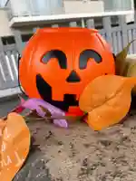 白金氷川神社(東京都)