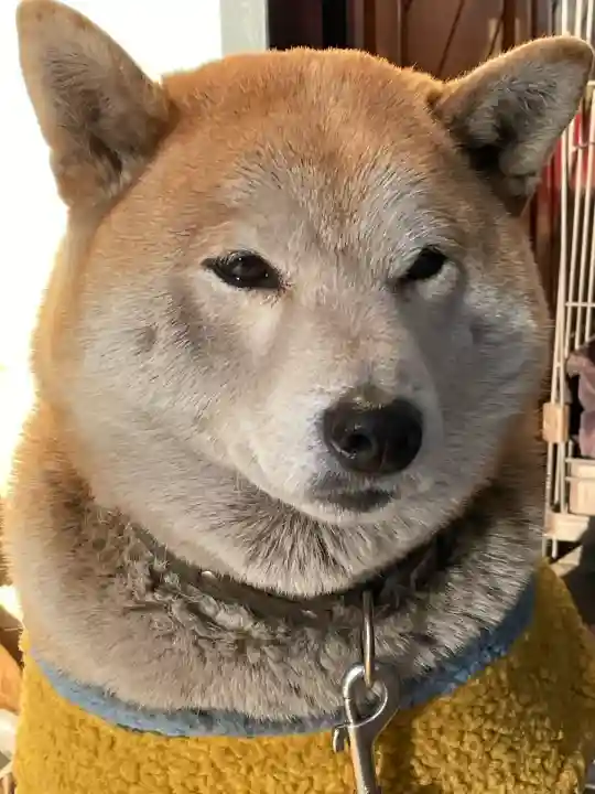 笠䅣稲荷神社(神奈川県)