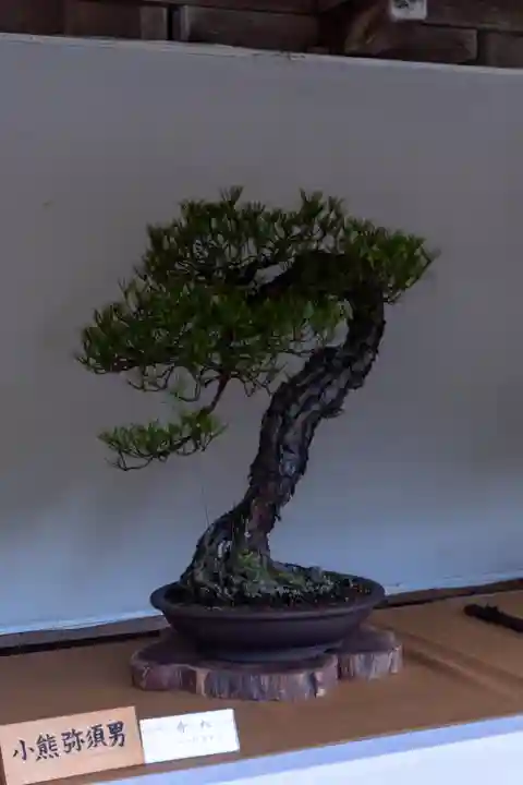 彌彦神社の自然
