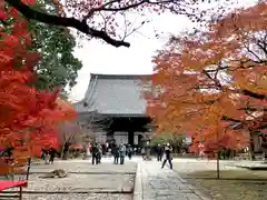 真正極楽寺（真如堂）の建物その他