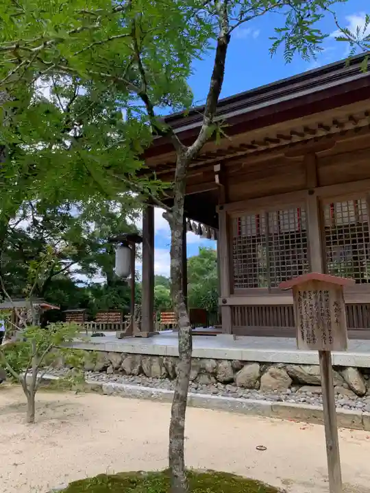 宝満宮竈門神社の自然