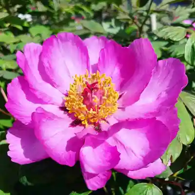 滑川神社 - 仕事と子どもの守り神の周辺