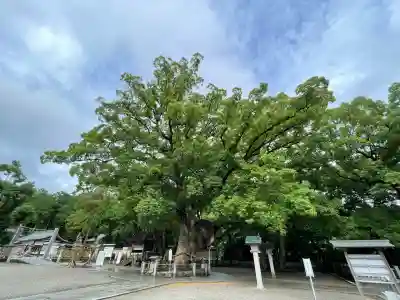 大麻比古神社(徳島県)