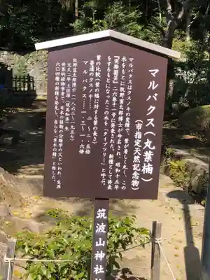 筑波山神社(茨城県)