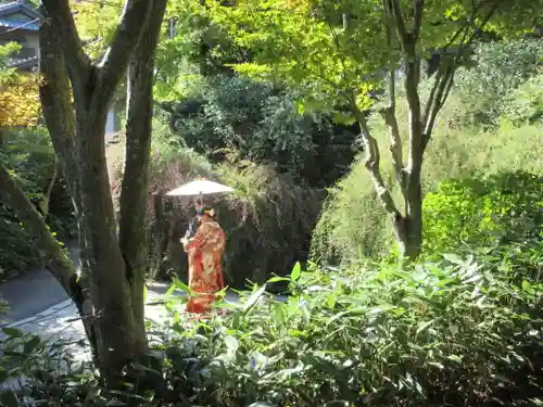 海蔵寺の景色