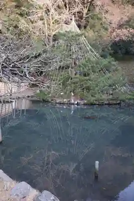 出雲大社神楽殿(島根県)