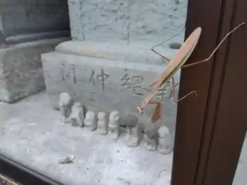 白髯神社(福井県)