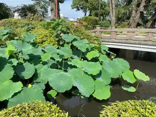 報徳二宮神社(神奈川県)
