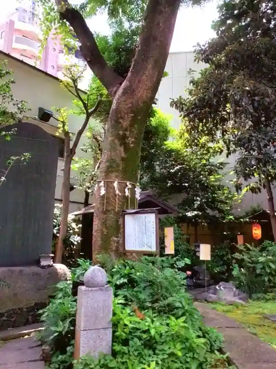 くまくま神社(導きの社 熊野町熊野神社)(東京都)