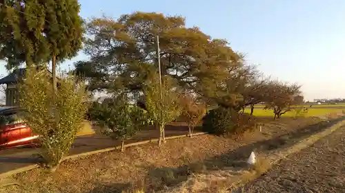 相野谷八幡神社(茨城県)