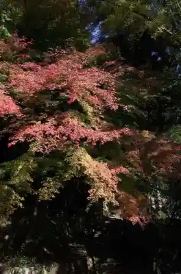 播州清水寺(兵庫県)