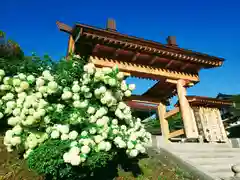 長徳寺の庭園