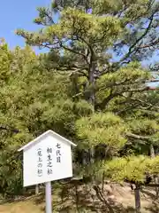 尾上神社の庭園