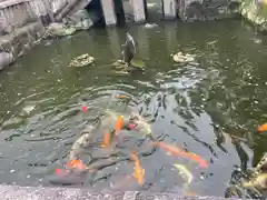 知立神社(愛知県)