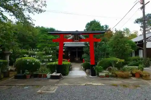 戒光寺（戒光律寺）の鳥居