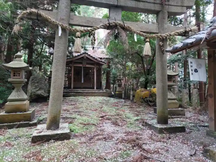 國狭槌神社の{uncategorized: "未分類", other: "その他", undefined: "問題あり", building: "その他建物", grave: "お墓", sacred_gate: "鳥居", guardian: "狛犬", statue: "像", buddha: "仏像", history: "歴史", nature: "自然", garden: "庭園", animal: "動物", pagoda: "塔", temizu: "手水舎", mountain_gate: "山門・神門", sanctuary: "本殿・本堂", subordinate: "末社・摂社", art: "芸術", scenery: "景色", jizo: "地蔵", ema: "絵馬", goshuin: "御朱印", omikuji: "おみくじ", items: "授与品その他", amulet: "お守り", goshuincho: "御朱印帳", eats: "食事", festival: "お祭り", votive_dance: "神楽", shichigosan: "七五三参", wedding: "結婚式", experience: "体験その他", initially: "初詣", around: "周辺", anti_infection: "感染症対策"}