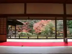 隨心院（随心院）(京都府)